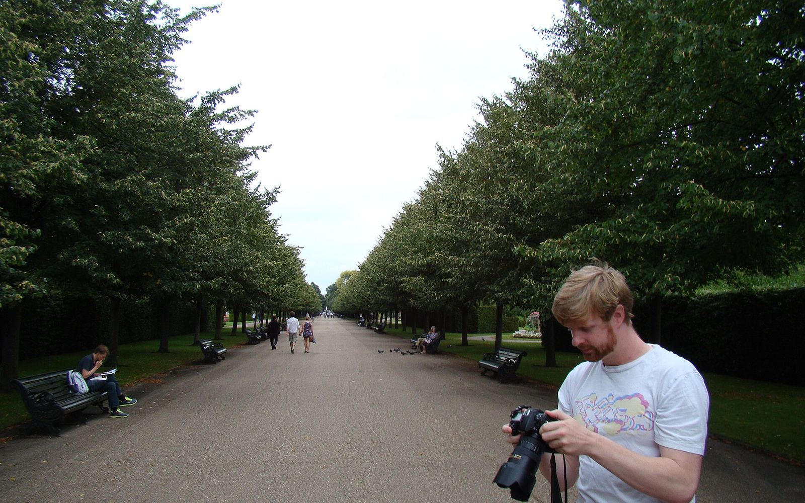 Tree avenue path in Regent’s Park — a dog-friendly Outer Circle walk before a nearby pint.