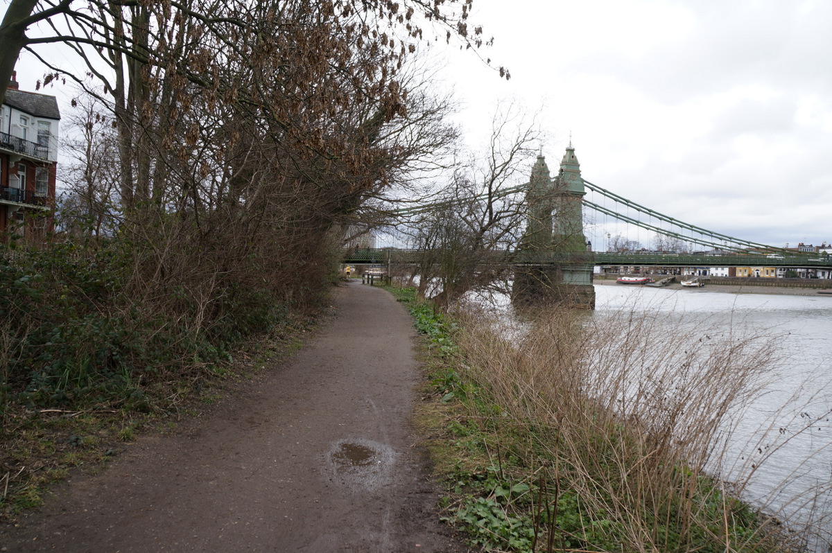 Thames Path looking toward Hammersmith Bridge — a flat west-London walk before a riverside pint.