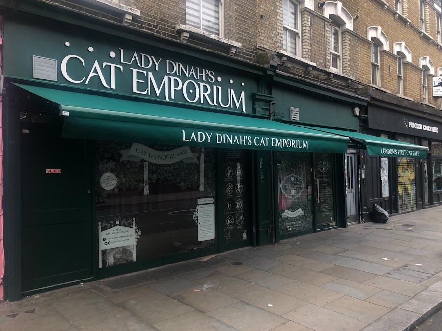 Lady Dinah's Cat Emporium. photo by Lady Dinah's Cat Emporium