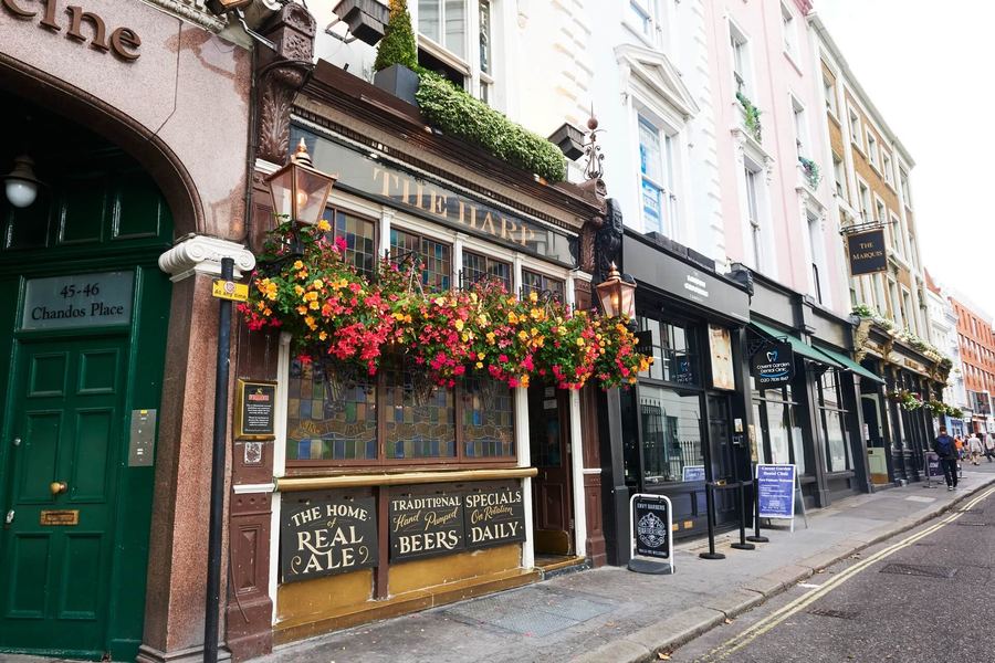 The Harp
